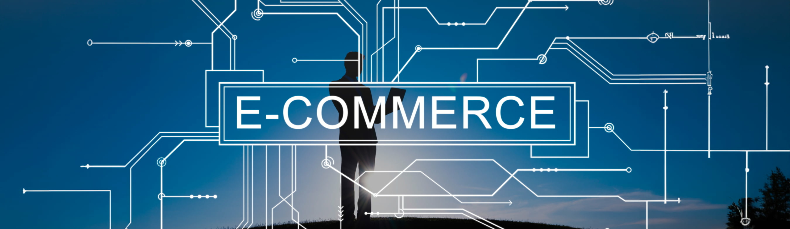 Exploring E-Commerce Solutions